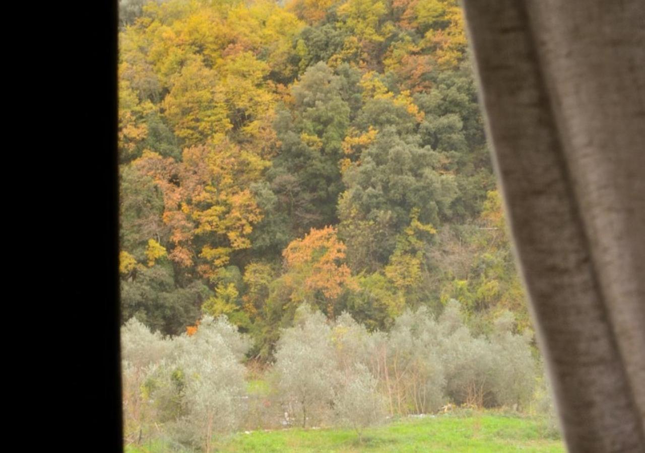 Il Cappellaio Matto Bed & Breakfast Montalto Ligure Екстериор снимка